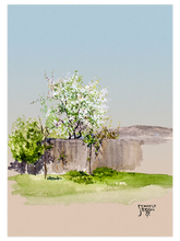 Egon Schiele Garden with Tree - Art Print